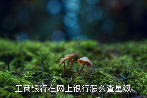 工行怎么查詢星級(jí)用戶，如何查詢工行的星級(jí)