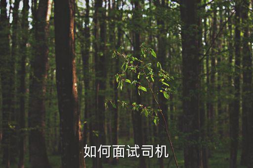 信用卡代駕怎么面試，好朋友代駕怎么去應(yīng)聘