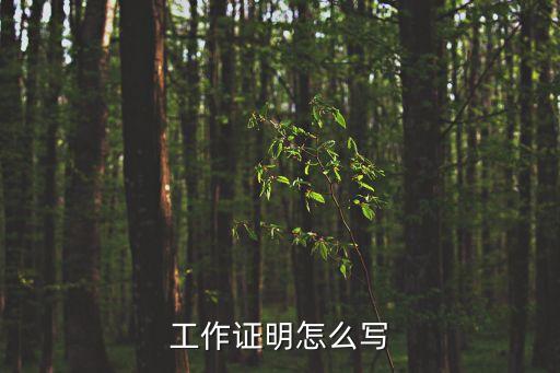工作證明怎么填寫(xiě)的，工作證明怎么寫(xiě)