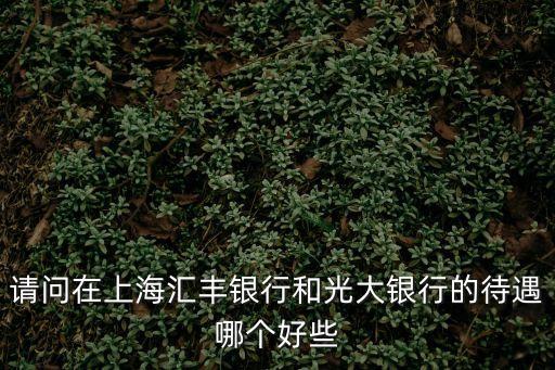 請問在上海匯豐銀行和光大銀行的待遇哪個好些
