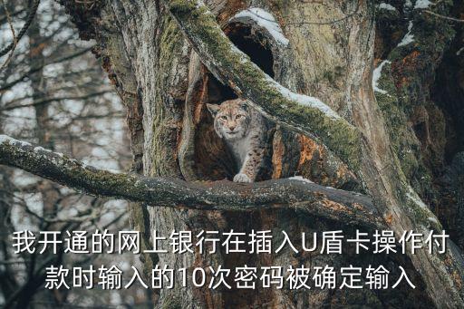 青島銀行ukey密碼錯誤怎么回事，Ukey密碼錯誤