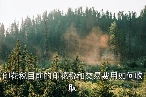 印花稅目前的印花稅和交易費(fèi)用如何收取