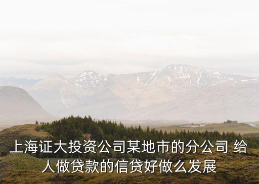 上海證大投資公司某地市的分公司 給人做貸款的信貸好做么發(fā)展