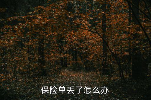 保險單丟了怎么辦