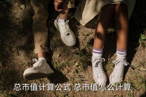 總市值計(jì)算公式 總市值怎么計(jì)算