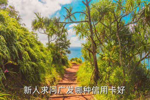 廣發(fā)希望卡怎么樣，為什么我申請(qǐng)廣發(fā)信用卡他們郵寄給我兩張一張廣發(fā)真情卡一張
