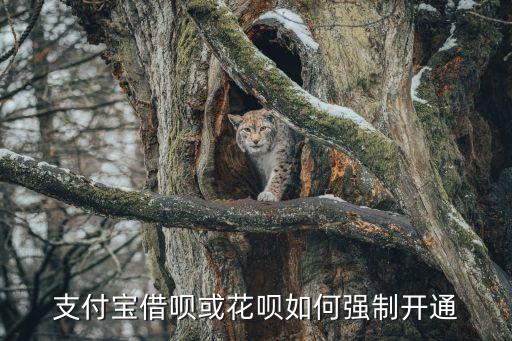 借唄花唄怎么強制開通，誰知道支付寶那個花唄借唄怎么強開呀給我說說呀