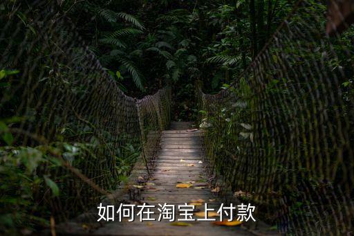 淘寶網(wǎng)上買東西怎么付款，淘寶網(wǎng)購物怎樣支付