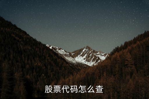 股票代碼怎么查詢，股票代碼查詢是怎么查的呢