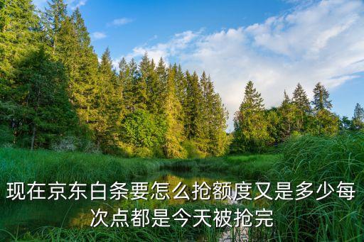 京東白條2016怎么搶，京東白條怎么才能搶到名額呢