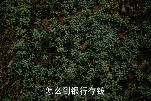 怎么到銀行存錢