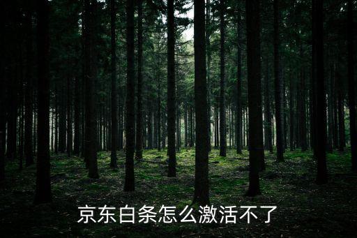 京東白條怎么激活不了
