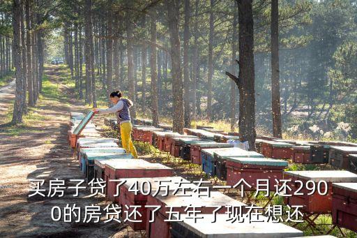 買房子貸了40萬左右一個月還2900的房貸還了五年了現(xiàn)在想還