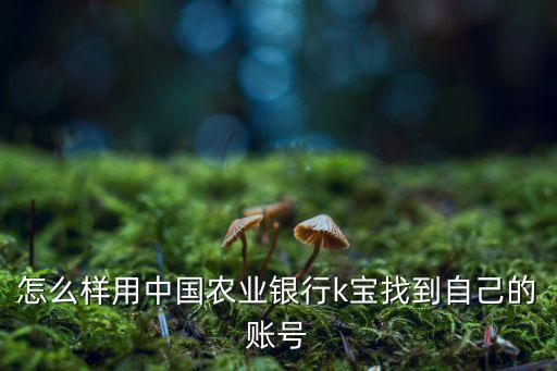 農(nóng)業(yè)銀行k寶號(hào)怎么查，怎么樣用中國(guó)農(nóng)業(yè)銀行k寶找到自己的賬號(hào)