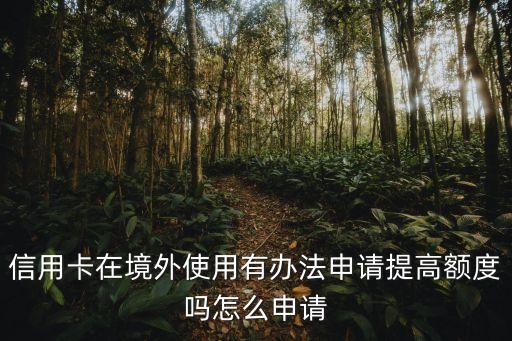 信用卡在境外使用有辦法申請(qǐng)?zhí)岣哳~度嗎怎么申請(qǐng)