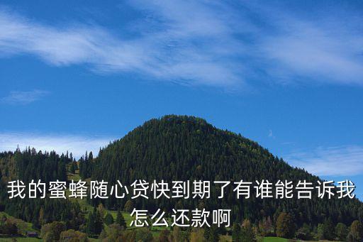 我的蜜蜂隨心貸快到期了有誰(shuí)能告訴我怎么還款啊