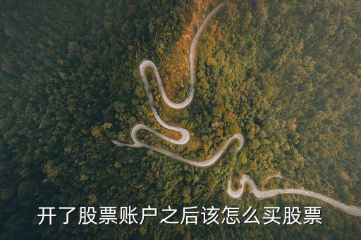 開了股票賬戶之后該怎么買股票
