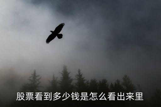 股票看到多少錢是怎么看出來里