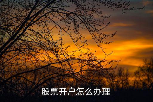 股票怎么開戶啊，怎么股票開戶