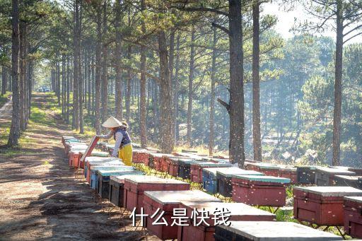 銀行卡怎么有快錢支付，如何申請快錢支付 步驟
