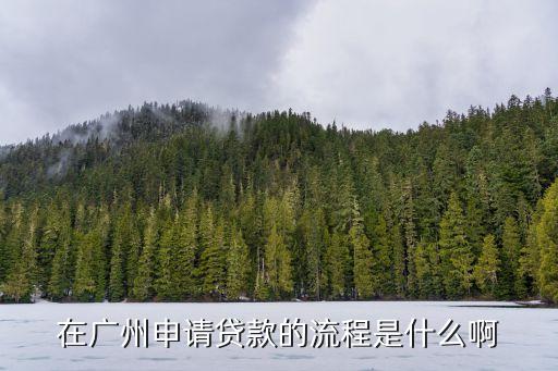 廣州工作貸款怎么辦理流程，在廣州申請貸款的流程是什么啊
