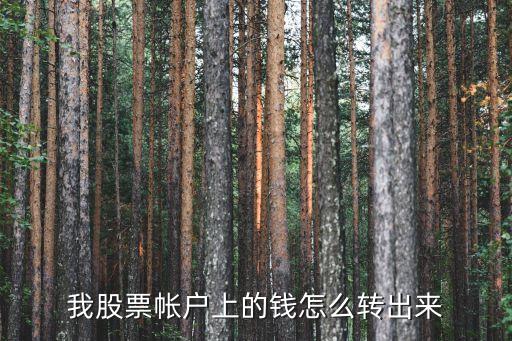 股票賬戶里的錢怎么轉(zhuǎn)出來，我股票帳戶上的錢怎么轉(zhuǎn)出來