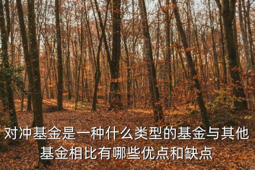 對(duì)沖基金是一種什么類型的基金與其他基金相比有哪些優(yōu)點(diǎn)和缺點(diǎn)
