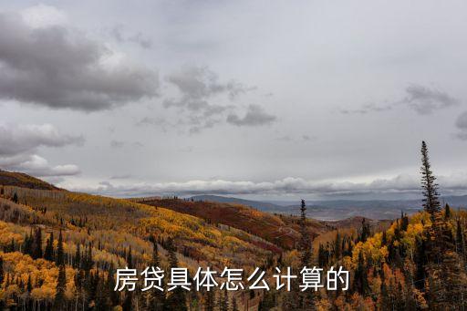 房貸具體怎么計(jì)算的