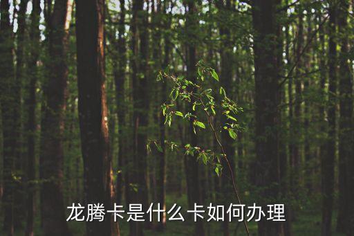 龍騰卡怎么買點(diǎn)，怎么買點(diǎn)