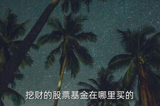 挖財(cái)?shù)墓善被鹪谀睦镔I的