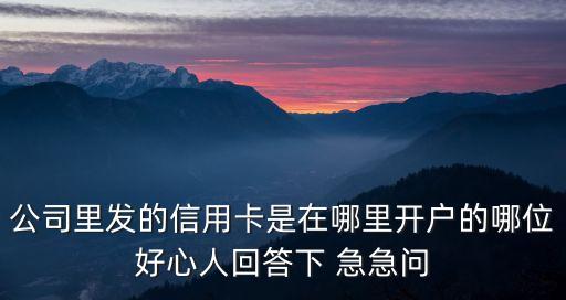 公司里發(fā)的信用卡是在哪里開戶的哪位好心人回答下 急急問
