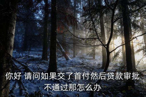 買車申請(qǐng)首付過(guò)不了怎么辦，車貸沒(méi)下來(lái)首付款怎么辦