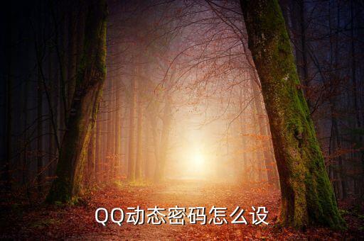 動(dòng)態(tài)密碼怎么設(shè)備，手機(jī)輸入路由器動(dòng)態(tài)密碼方法