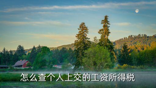 工資卡交稅怎么查，工資卡只打了五千多的拿現(xiàn)金稅務(wù)局怎么知道職工扣稅了呢