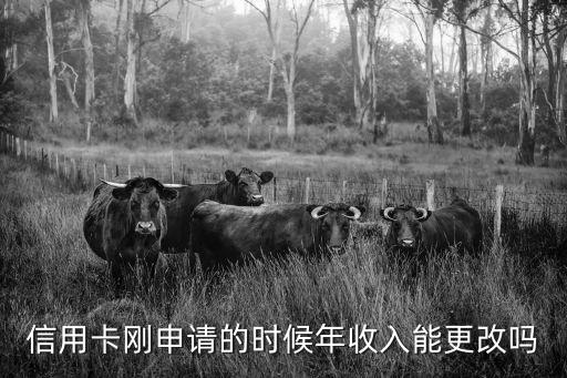信用卡怎么改年薪，信用卡剛申請的時候年收入能更改嗎