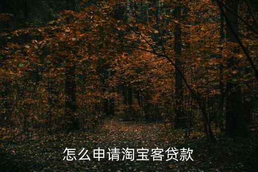 淘寶客的貸款怎么申請，馬云網上銀行怎么貸款