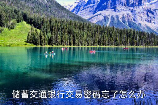 交通銀行密碼輸入不了密碼忘了怎么辦，交通銀行借記卡的密碼忘記了 怎么處理