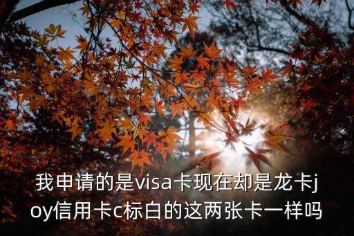我申請(qǐng)的是visa卡現(xiàn)在卻是龍卡joy信用卡c標(biāo)白的這兩張卡一樣嗎
