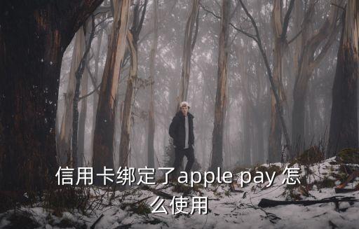 信用卡綁定了apple pay 怎么使用