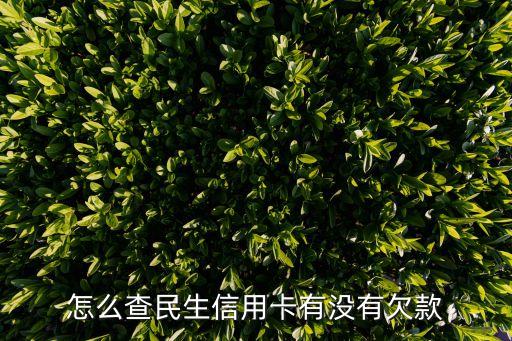 怎么查民生信用卡欠款，怎么查民生信用卡有沒有欠款