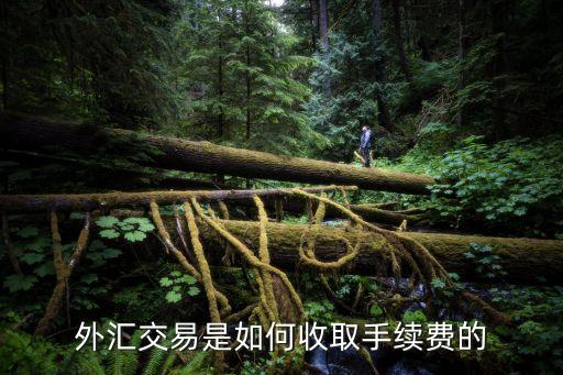 外匯交易是如何收取手續(xù)費的