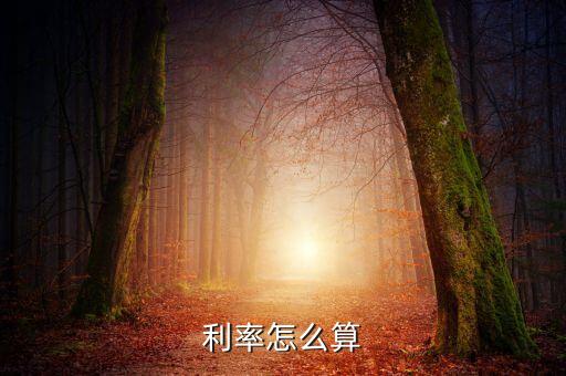 利率怎么算