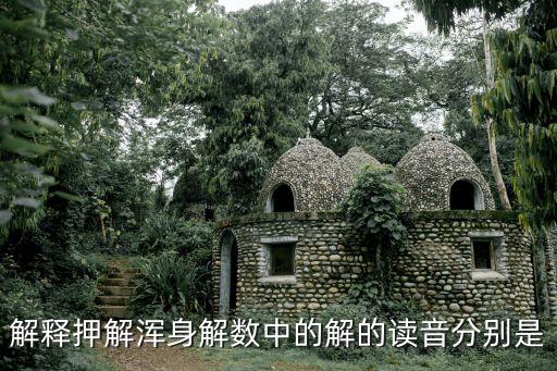 解釋押解渾身解數(shù)中的解的讀音分別是