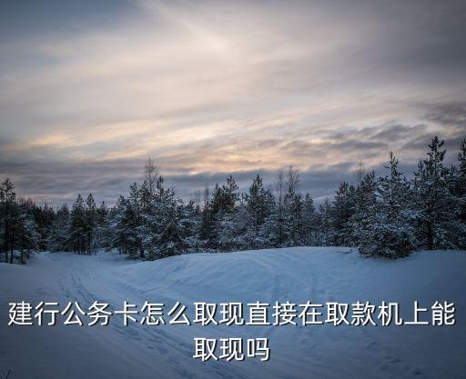 公務(wù)卡怎么的取現(xiàn)額度嗎，我辦了一張金穗公務(wù)卡限額人民幣1W 美元3000元 但我已消費(fèi)了人民
