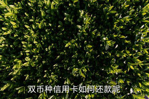 萬事達(dá)和visa怎么還款，在國外用萬事達(dá)信用卡還款怎樣計(jì)算