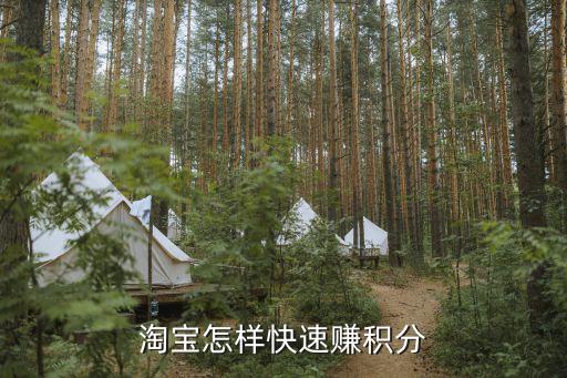 淘寶怎么得積分，淘寶積分從哪里來
