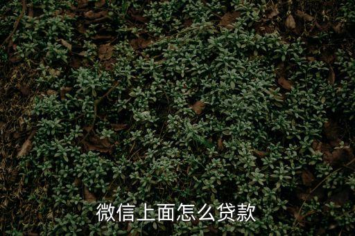 微信怎么貸款500到10000，微信上面怎么貸款