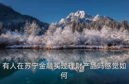 有人在蘇寧金融買過理財產(chǎn)品嗎感覺如何