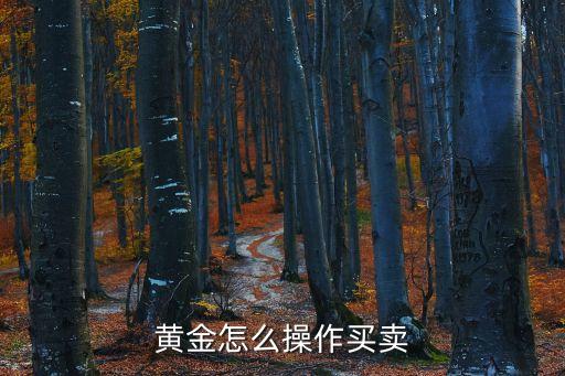 黃金怎么操作買賣