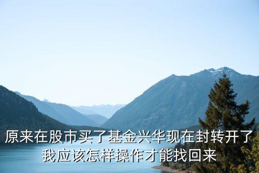 原來(lái)在股市買(mǎi)了基金興華現(xiàn)在封轉(zhuǎn)開(kāi)了我應(yīng)該怎樣操作才能找回來(lái)